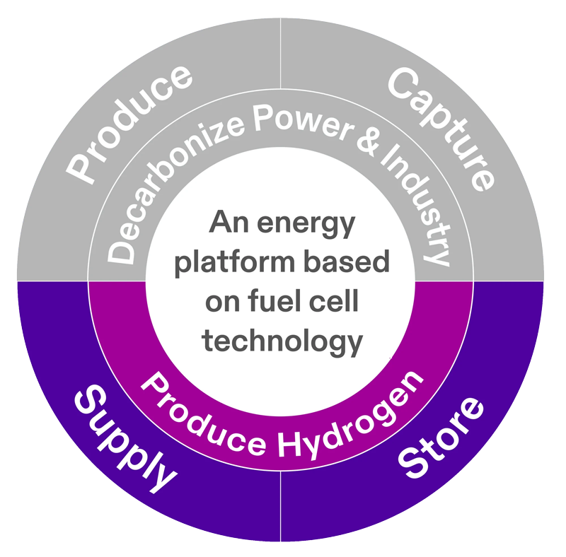 hydrogen-fuel-cell-electrolyzer-platform