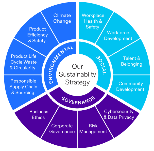 Our Sustainability Strategy 2024